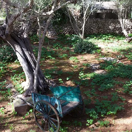 בית חווה Ca'n Gaia